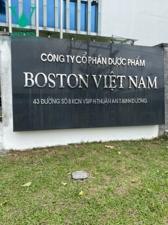 Boston Việt Nam 5
