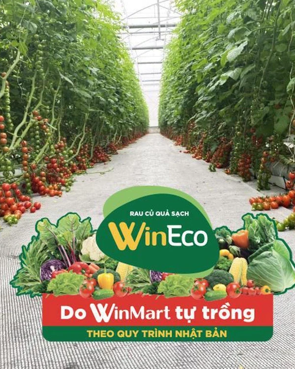 CÔNG TY CỔ PHẦN WINECO VIỆT NAM 4