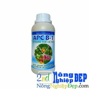 APC PROBUSSCO 8