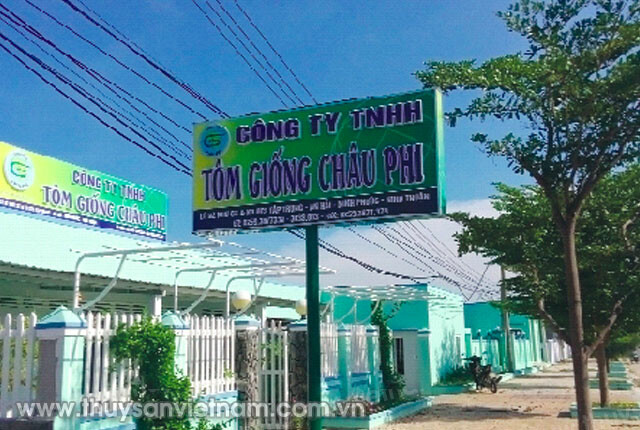 Thuỷ Sản Châu Phi 3