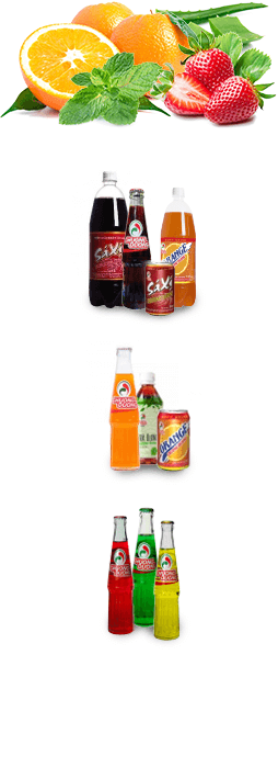 Nước Giải Khát Chương Dương - CDBECO 10