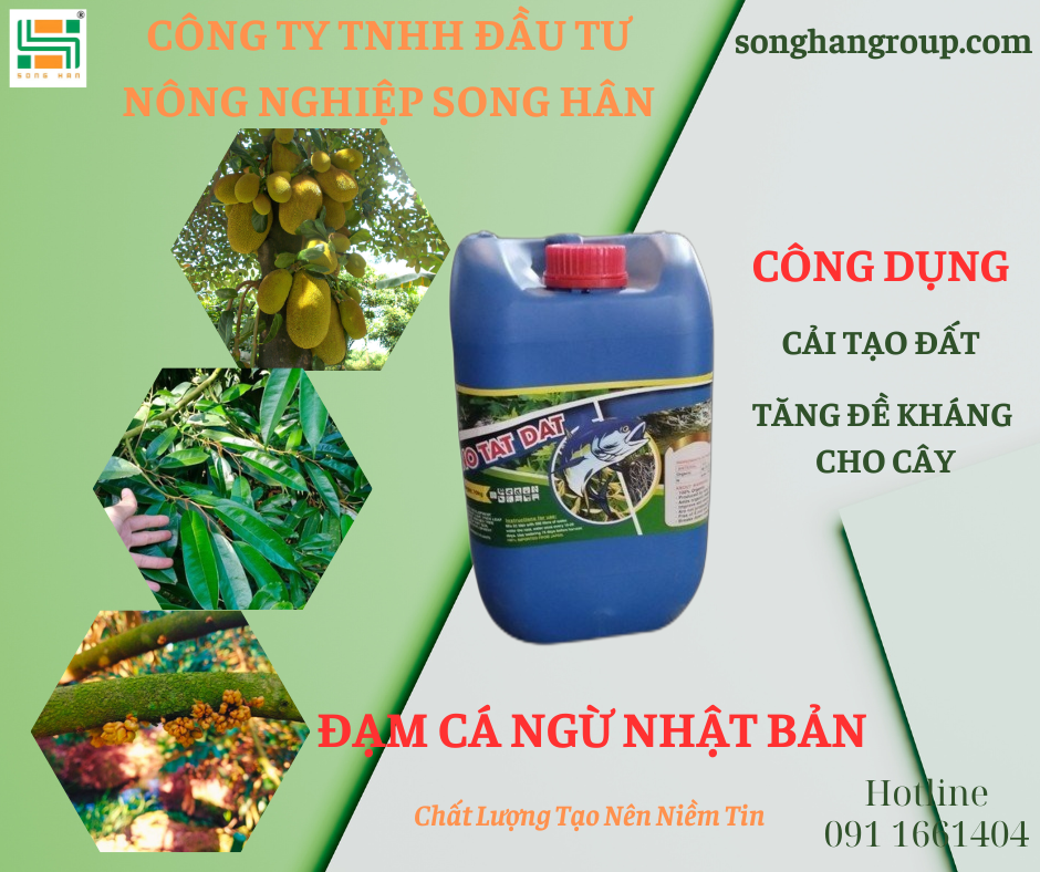 Công Ty Trách Nhiệm Hữu Hạn Đầu Tư Nông Nghiệp Song Hân 8
