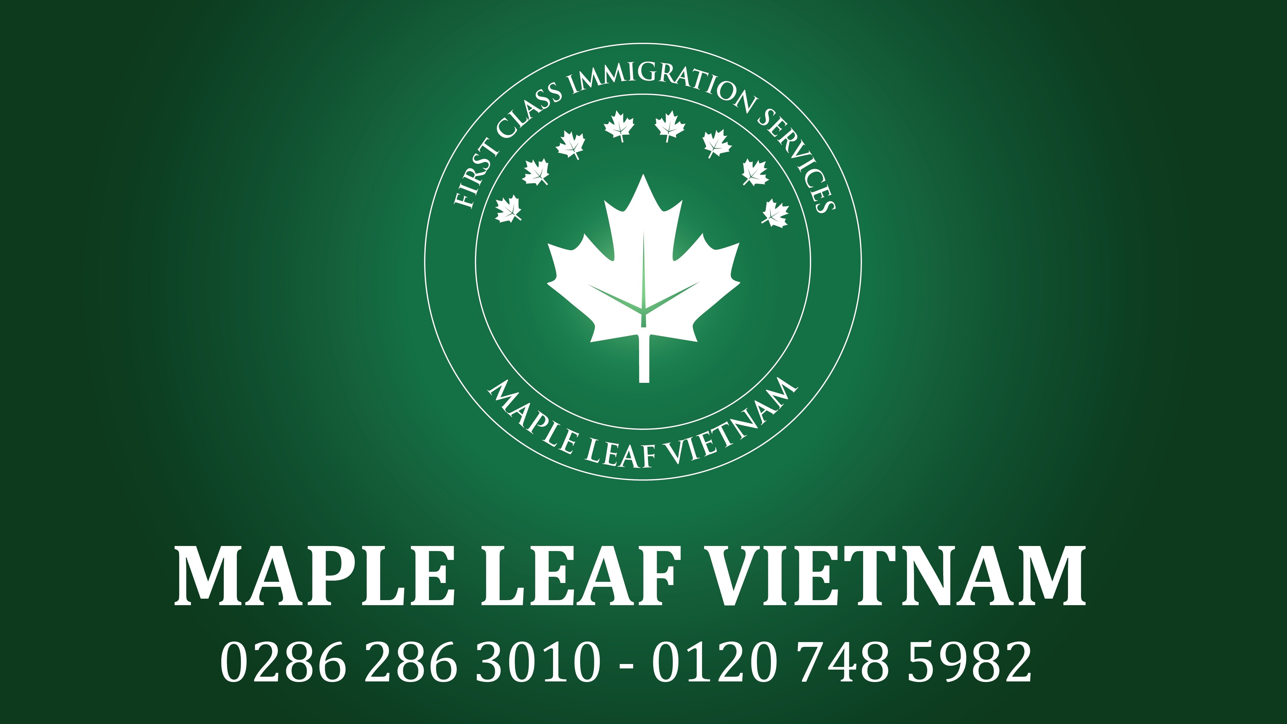 MAPLE LEAF VIETNAM 8