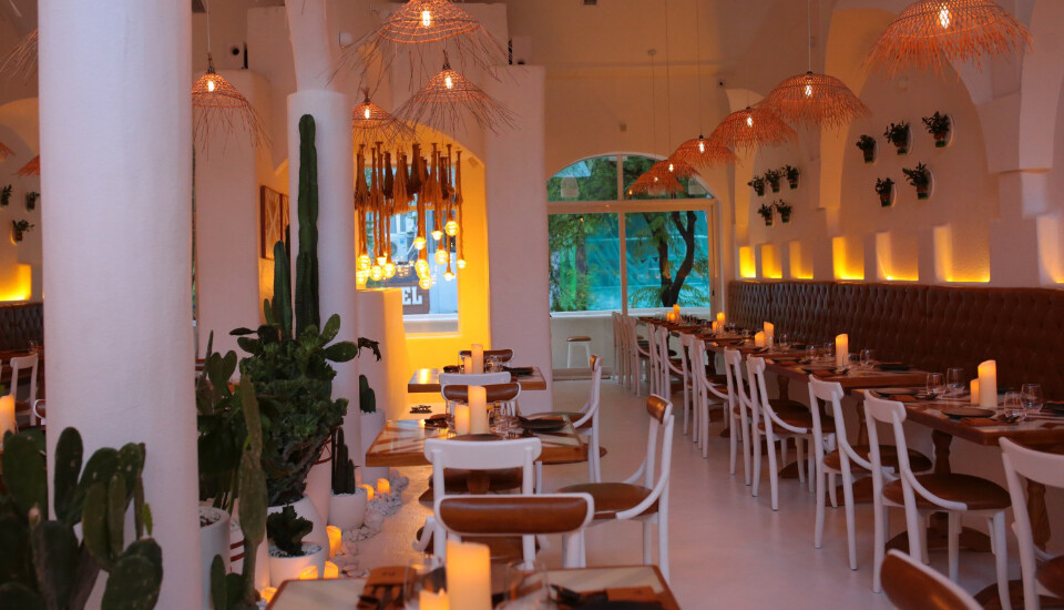 Sol Kitchen & Bar 17