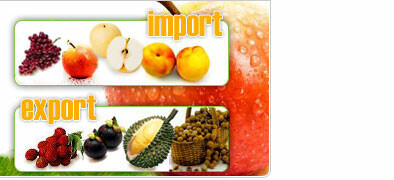 INTERFRESH FOOD AND BEVERAGE CO LTD 5