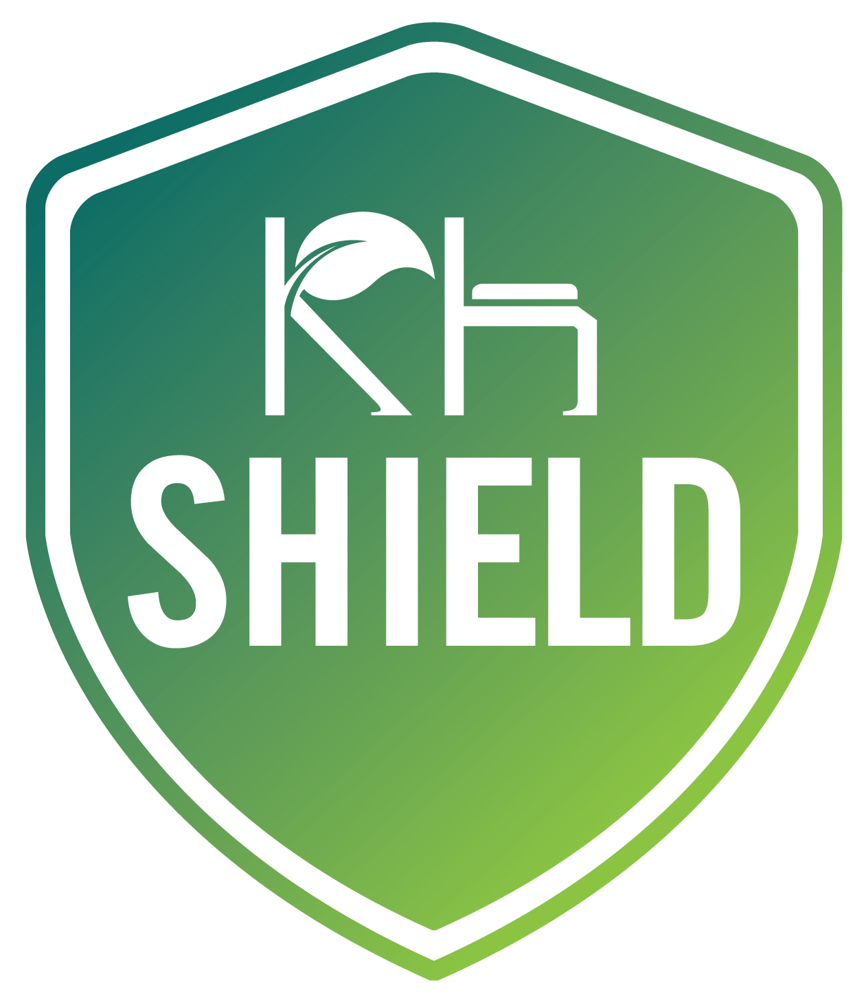 Shield 1