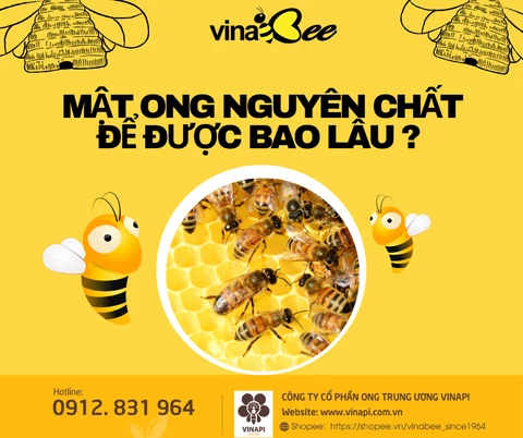 CÔNG TY CỔ PHẦN ONG TRUNG ƯƠNG 6