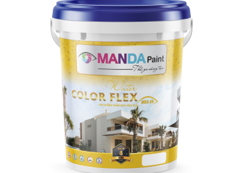 Manda Paint Việt Nam 2