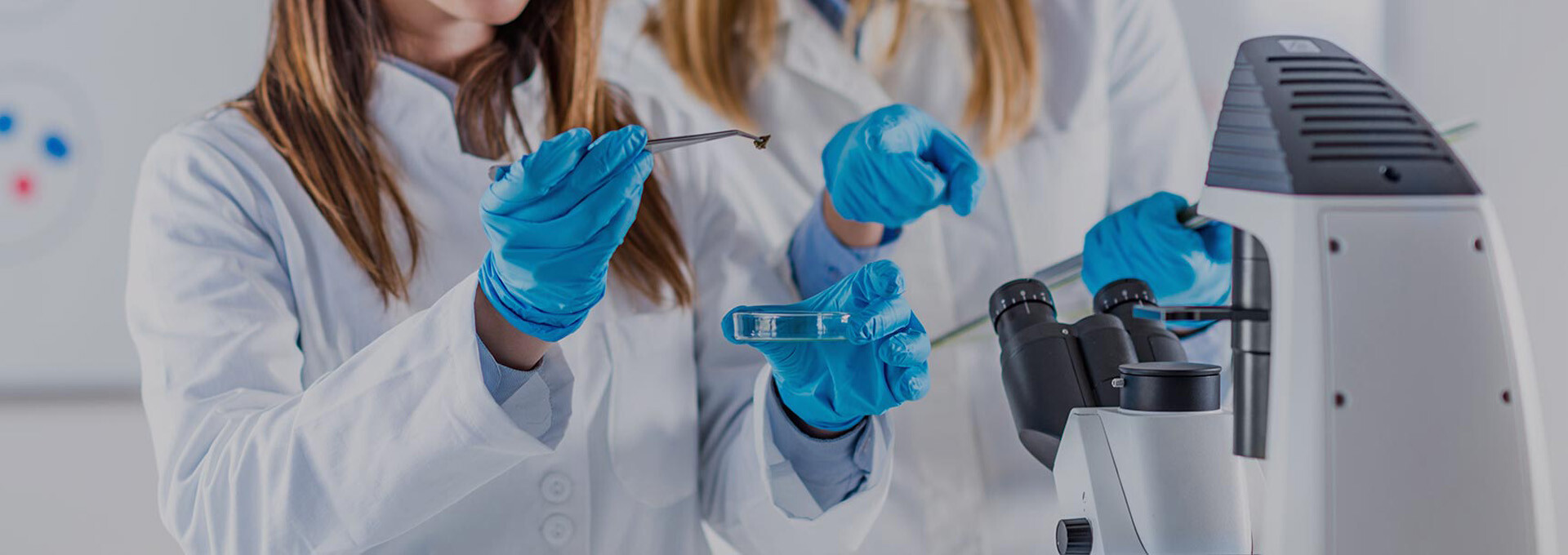 VICT CHEMICALS VIETNAM CO.,LTD 11