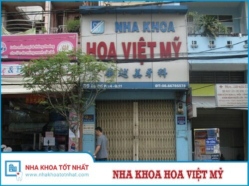 Nha Khoa Hoa Việt Mỹ 10
