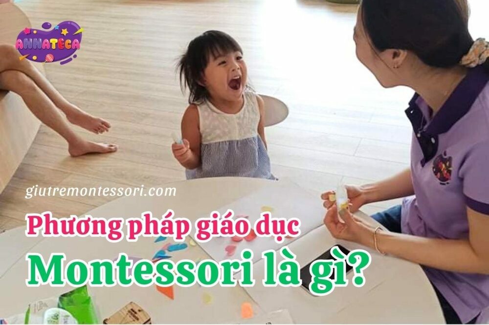 Phát Triển Giáo Dục Việt Nhật 2