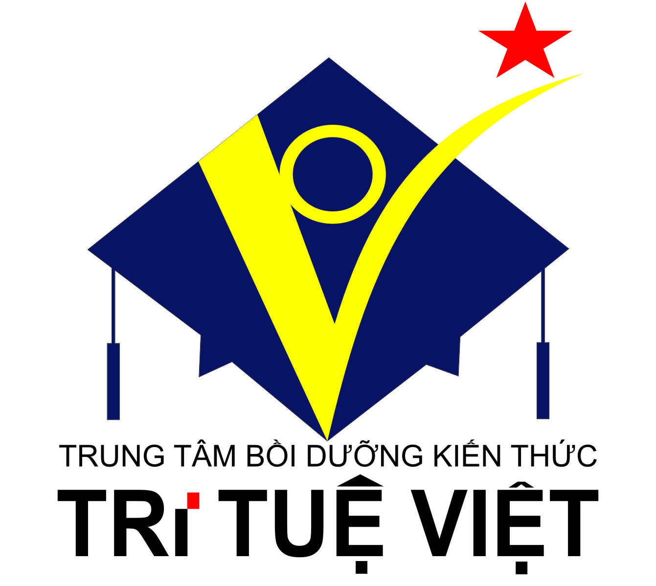GIÁO DỤC VÀ ĐÀO TẠO TRÍ TUỆ VIỆT NAM 2