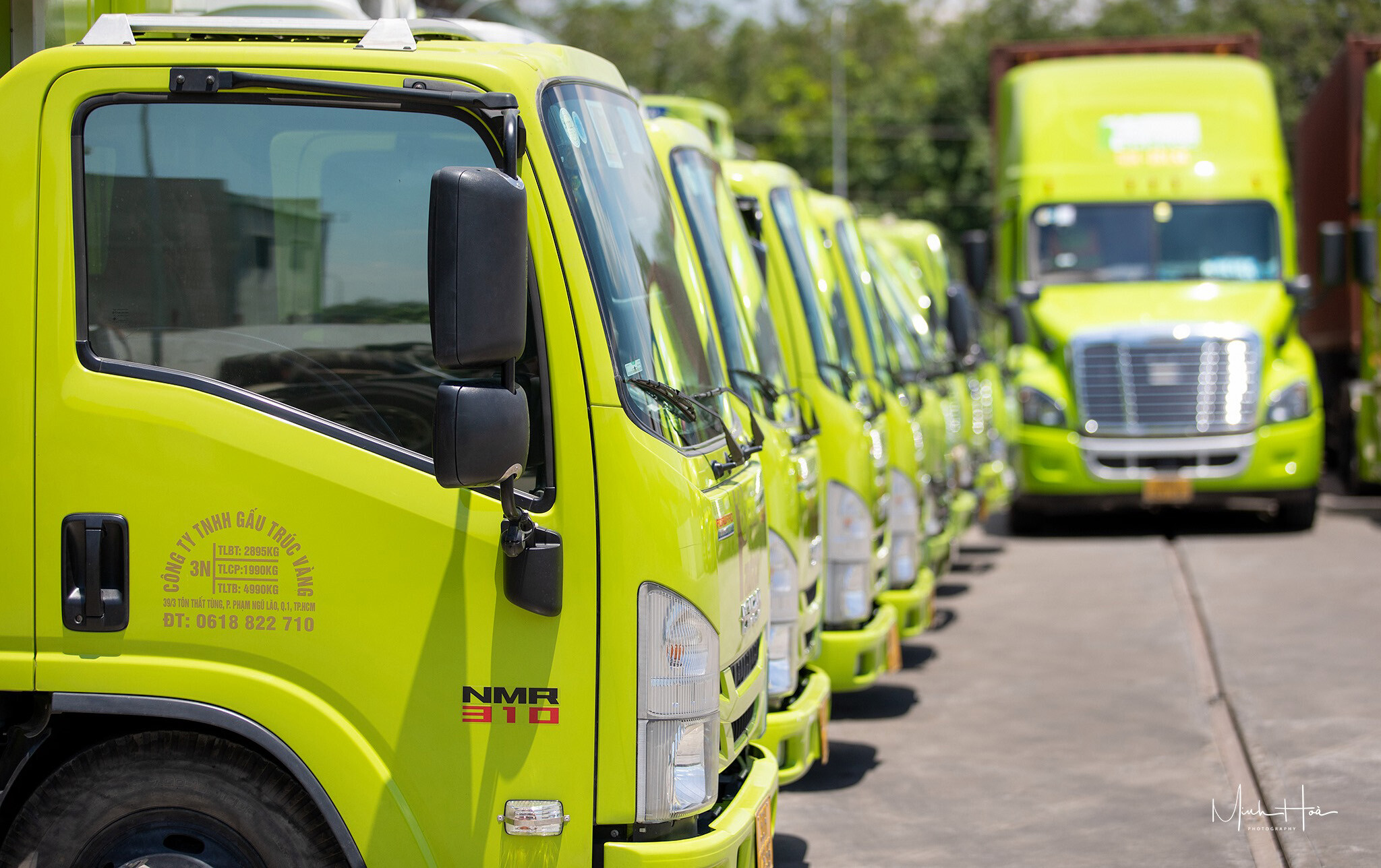 Gấu Trúc Việt 7