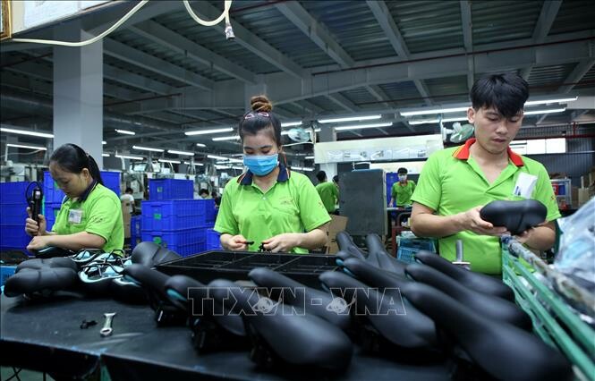 Pro Active Global Việt Nam 2