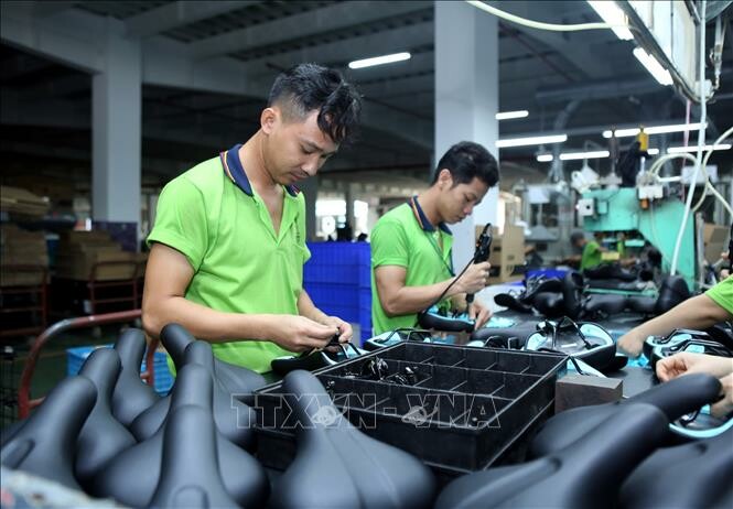 Pro Active Global Việt Nam 1