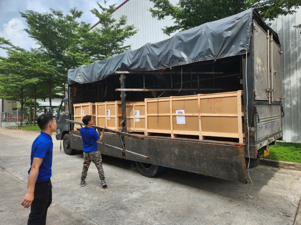 Cường Phong Việt Nam 7