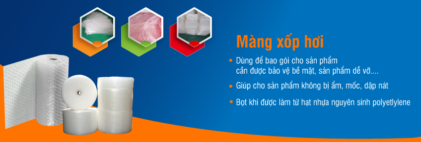 Bao Bì Hiển Long 1