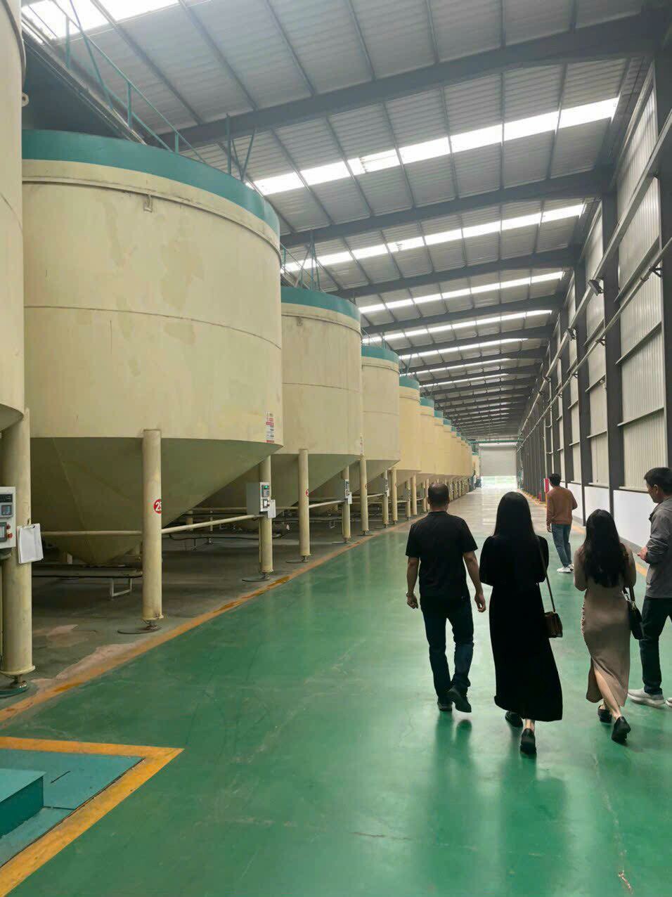 Sản Xuất Hoàng Vũ - Hướng Dương Mỹ Vị 2