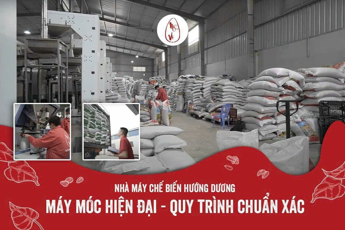 Sản Xuất Hoàng Vũ - Hướng Dương Mỹ Vị 7