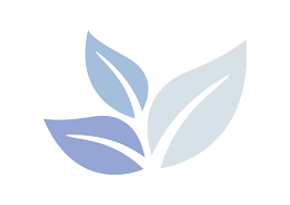 Norbreeze Collective Asia 2