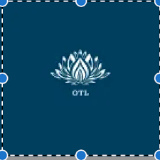 Công ty Thương mại và Dịch vụ OTL 11