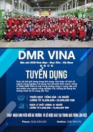 DMR Vina 11