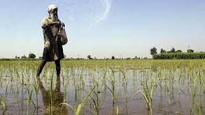 SUSTAINABLE DEVELOPMENT S.U.D 9