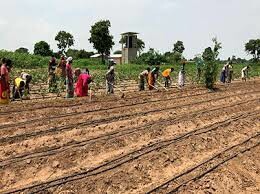 SUSTAINABLE DEVELOPMENT S.U.D 8