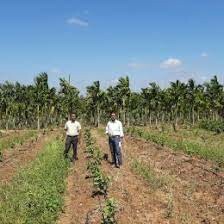 SUSTAINABLE DEVELOPMENT S.U.D 7