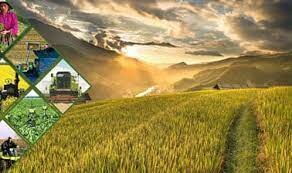 SUSTAINABLE DEVELOPMENT S.U.D 6