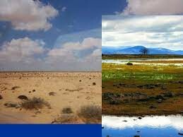 SUSTAINABLE DEVELOPMENT S.U.D 5