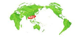 ASIA PACIFIC CORPORATION 7