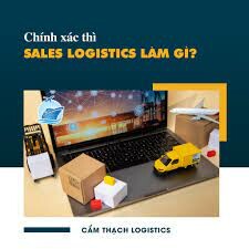 Cẩm Thạch Logistics 11