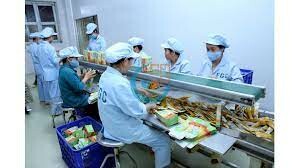 Công Ty TNHH Cozy Roundinternational 4