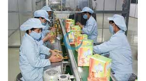 Công Ty TNHH Cozy Roundinternational 3