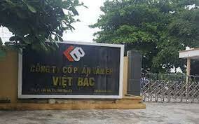 Ván Ép Việt Bắc 6