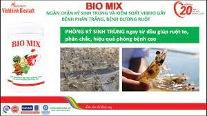 VINHTHINH BIOSTADT 2