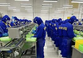 Thực Phẩm Lý Khang 6