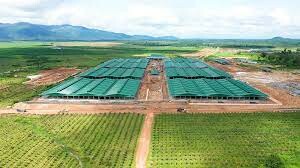 Nông nghiệp Trường Hải - THACO AGRI 7