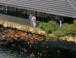 Kawara My An Onsen Resort 1