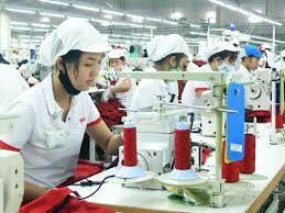 Alliance One Apparel 2