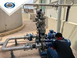 Thái Khương Pums 1