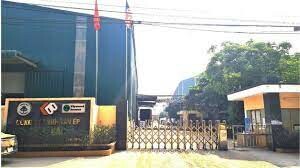 Ván Ép Việt Bắc 3