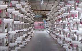 SẢN XUẤT THƯƠNG MẠI QUỐC TẾ THIÊN BẢO 8