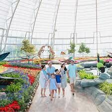 Công Ty Cổ Phần Phát Quyết 3