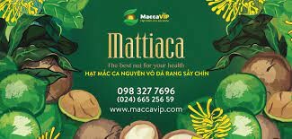 CÔNG TY CỔ PHẦN MACCA VIP 10