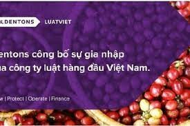 DENTONS LUẬT VIỆT 11