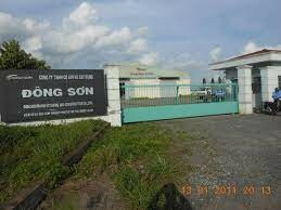 ĐÔNG SƠN STEEL 10