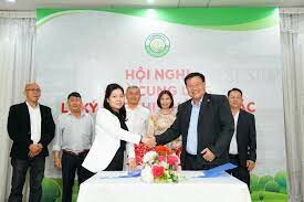 NADYNIE VIỆT NAM 11