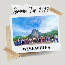 Wisewires 8